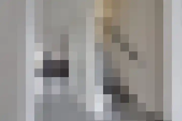 Hietlanden 2 Assen thumbnail 14