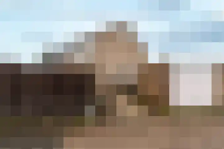 Hietlanden 2 Assen thumbnail 26