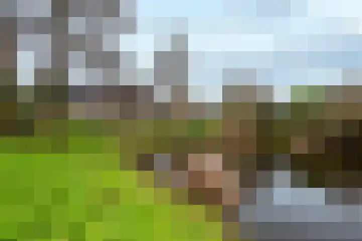 Hietlanden 2 Assen thumbnail 34