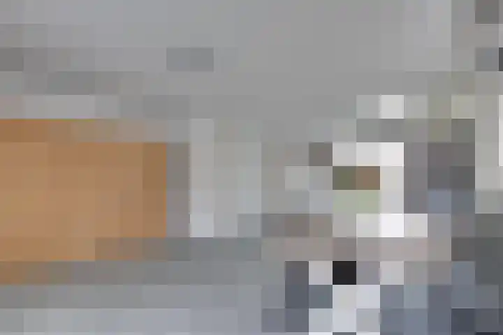 Hietlanden 2 Assen thumbnail 7