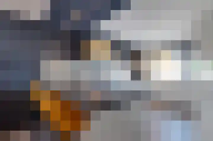 Hietlanden 3 Assen thumbnail 16