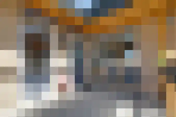 Hietlanden 3 Assen thumbnail 39