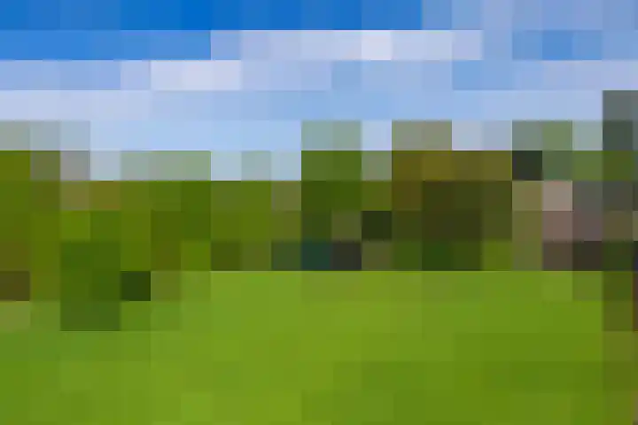 Hietveldweg 1 Beekbergen thumbnail 41