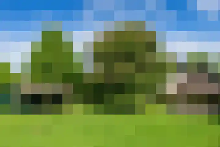 Hietveldweg 1 Beekbergen thumbnail 42
