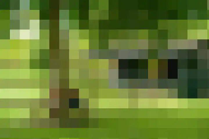 Hietveldweg 1 Beekbergen thumbnail 47