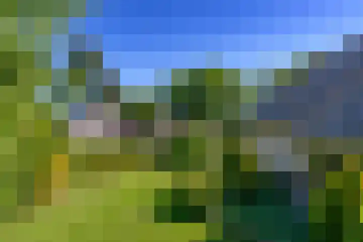Hietveldweg 1 Beekbergen thumbnail 48