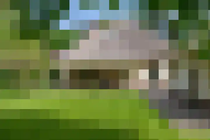 Hietveldweg 1 Beekbergen thumbnail 49