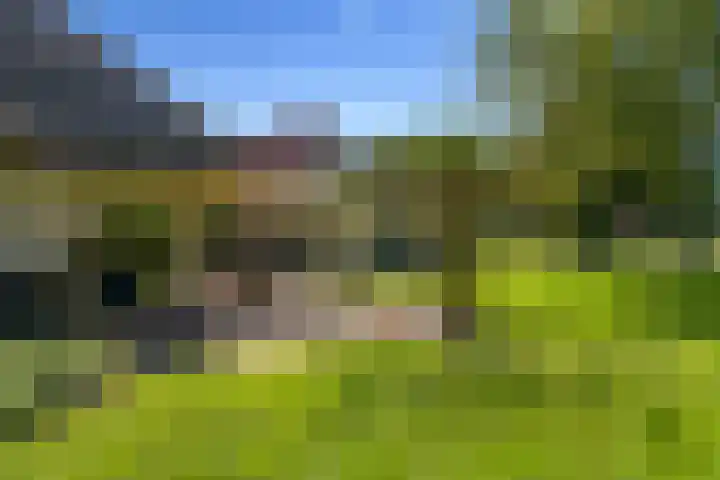 Hietveldweg 1 Beekbergen thumbnail 50