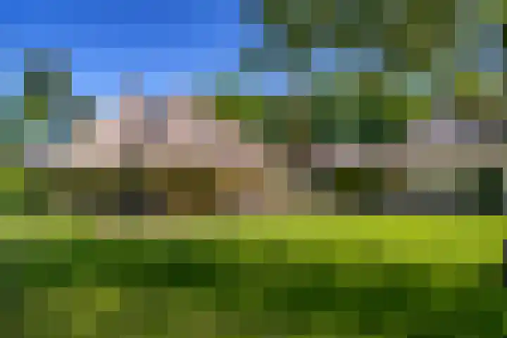 Hietveldweg 1 Beekbergen thumbnail 66
