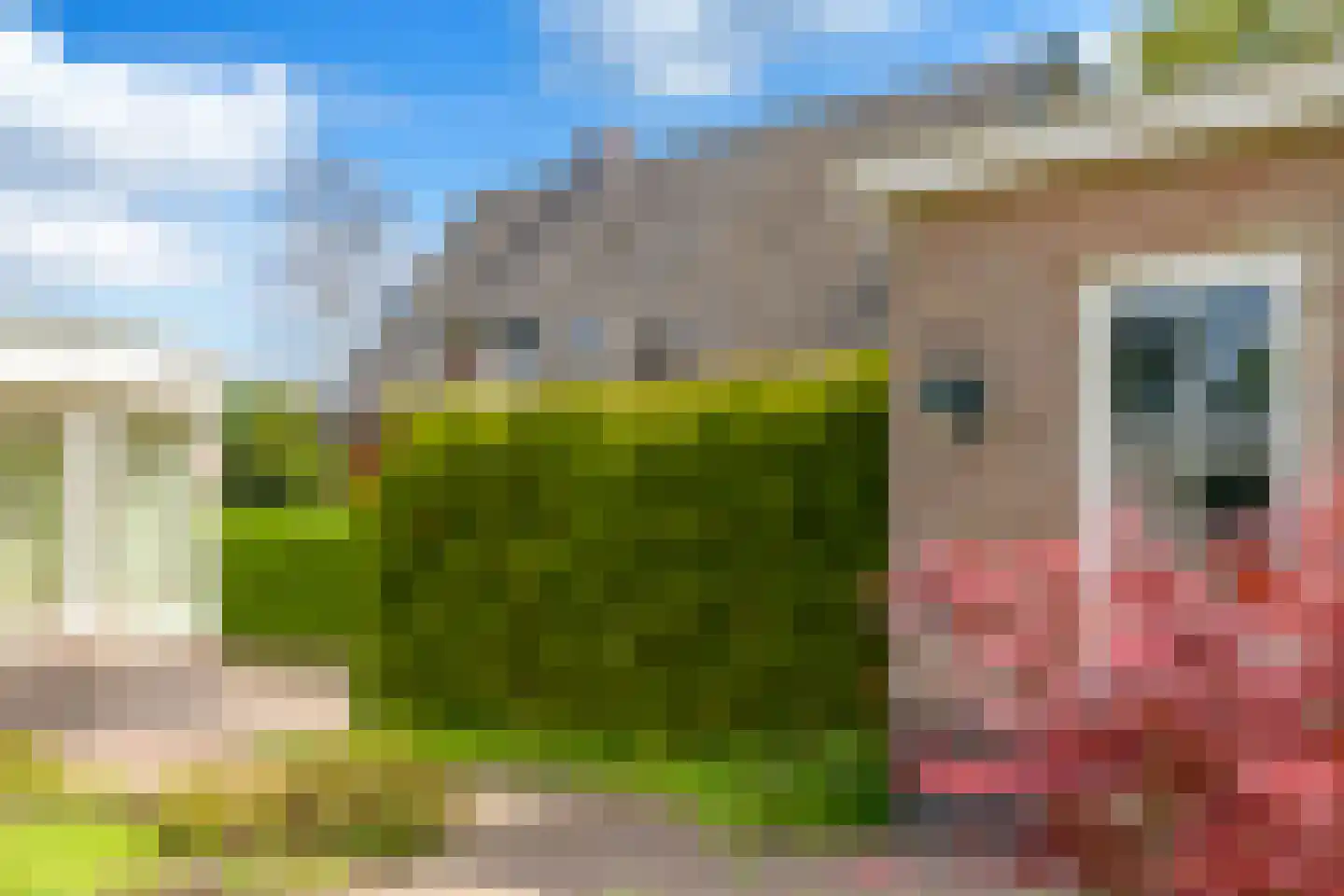 Hietveldweg 17 Beekbergen thumbnail 66