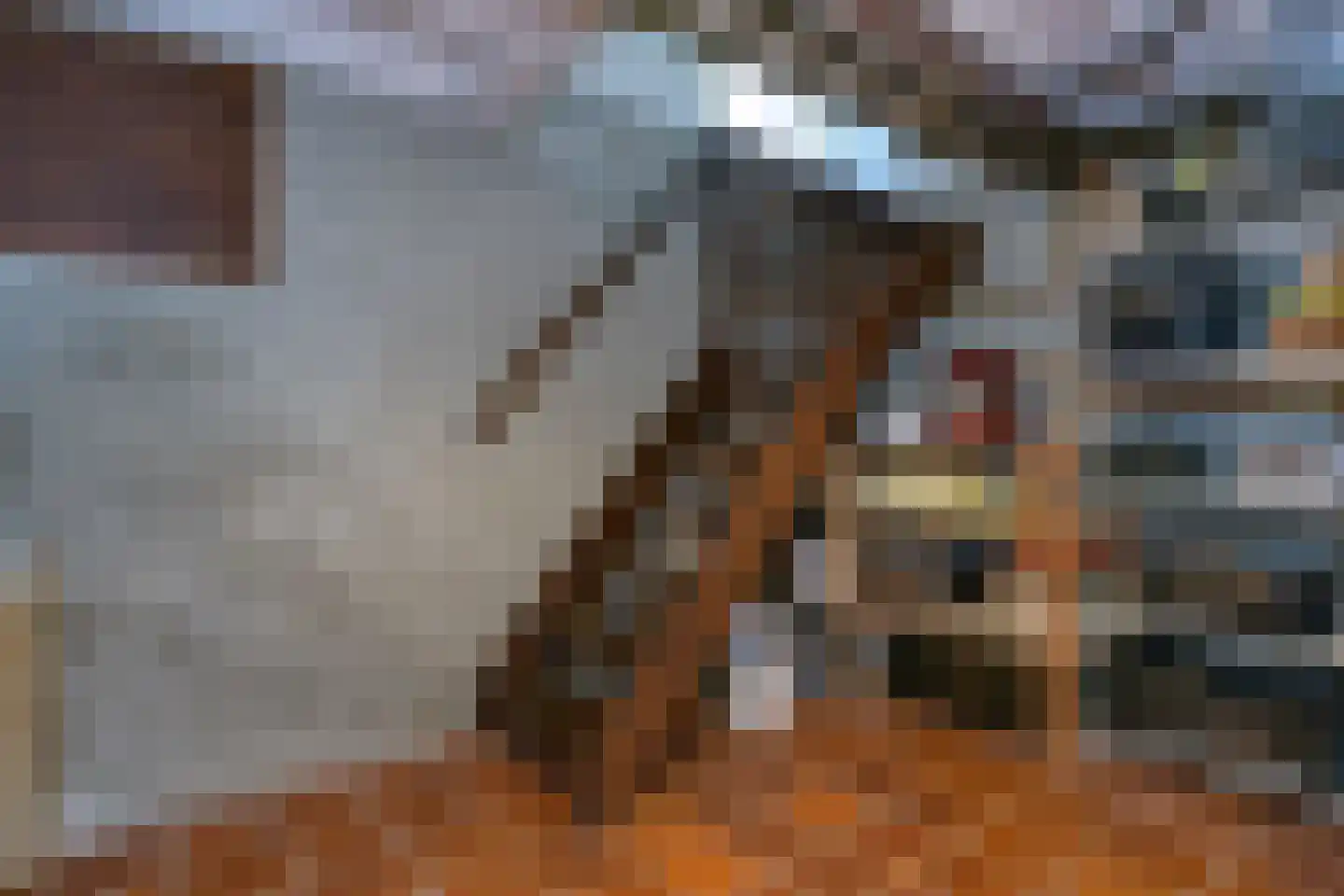 Hietveldweg 21 B Beekbergen thumbnail 21