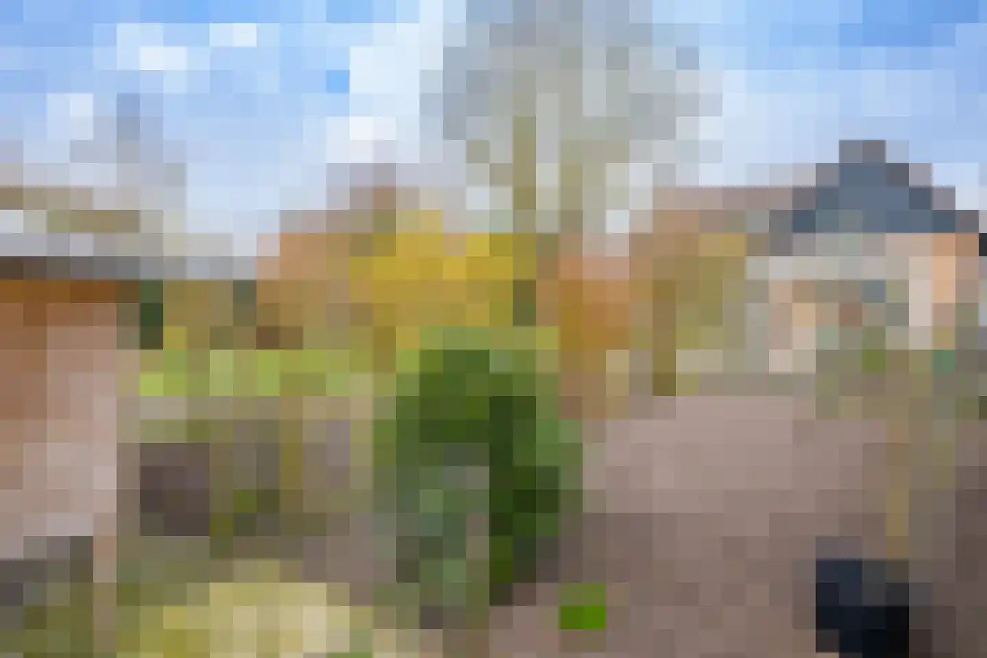 Hietveldweg 21 B Beekbergen thumbnail 33