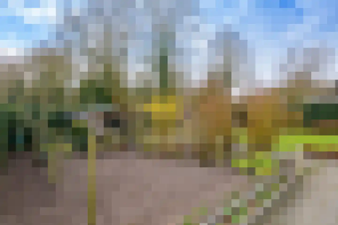 Hietveldweg 21 B Beekbergen thumbnail 35
