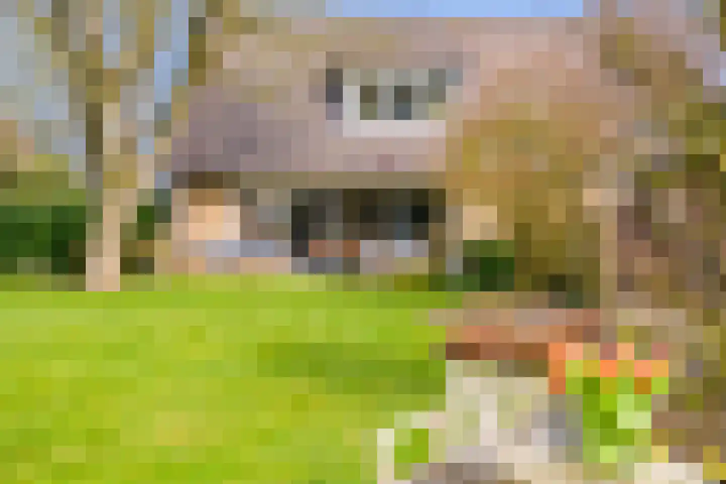 Hietveldweg 21 B Beekbergen thumbnail 40