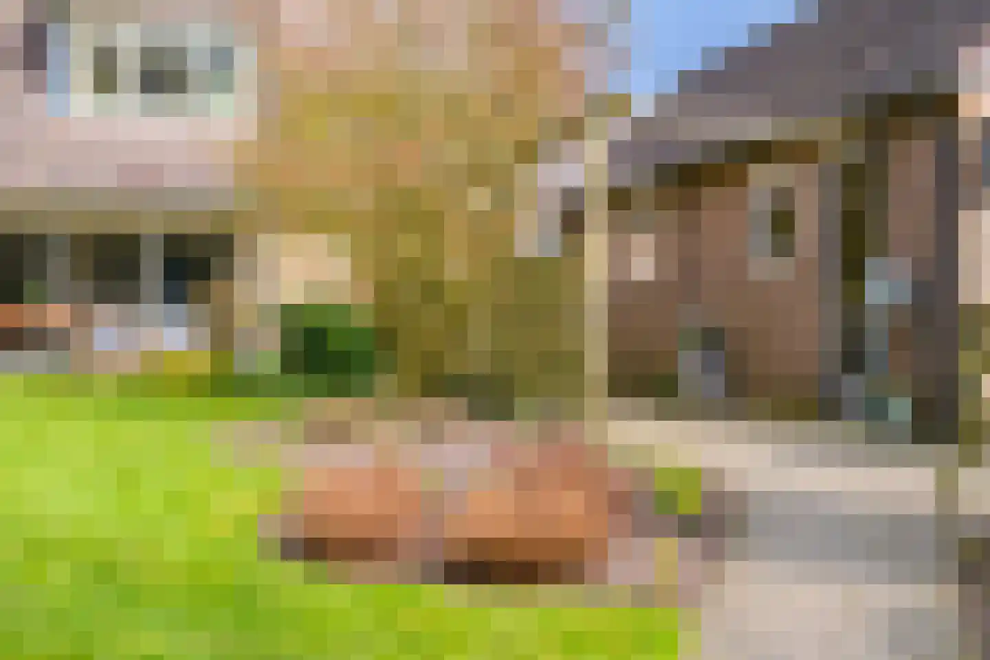 Hietveldweg 21 B Beekbergen thumbnail 41