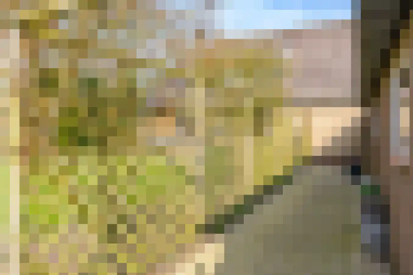 Hietveldweg 21 B Beekbergen thumbnail 44