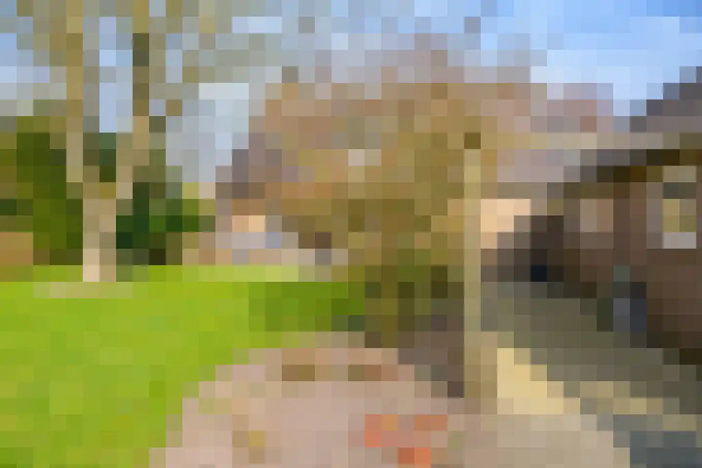 Hietveldweg 21 B Beekbergen thumbnail 45