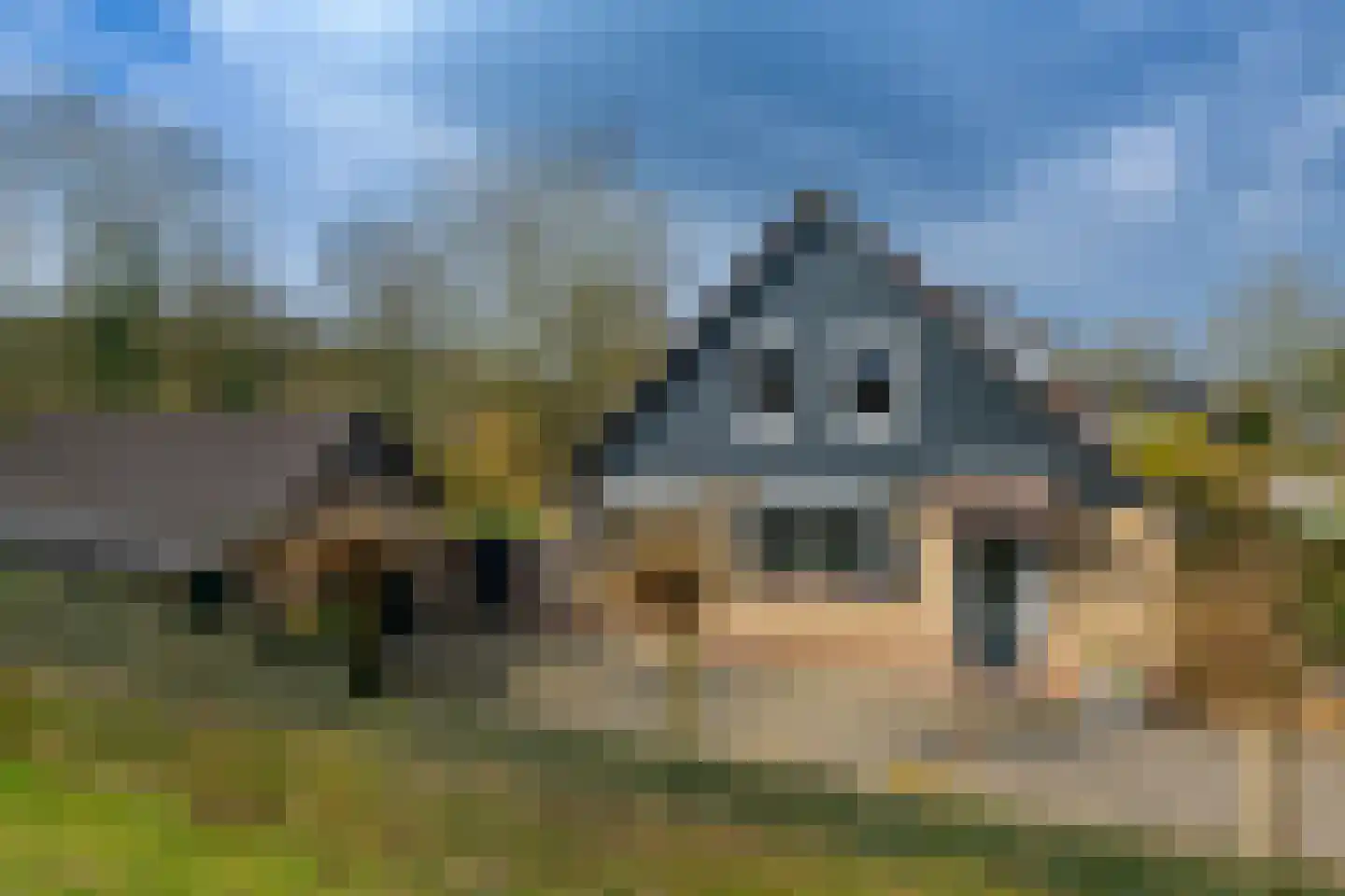 Hietveldweg 21 B Beekbergen thumbnail 49
