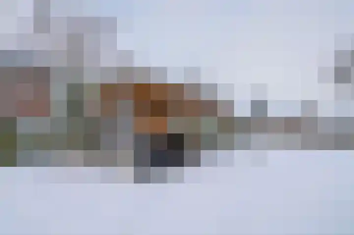 Hietveldweg 26 Beekbergen thumbnail 32