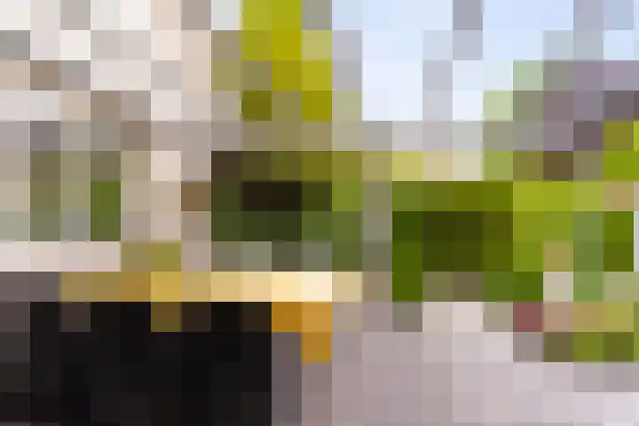 Hietveldweg 34 Beekbergen thumbnail 33