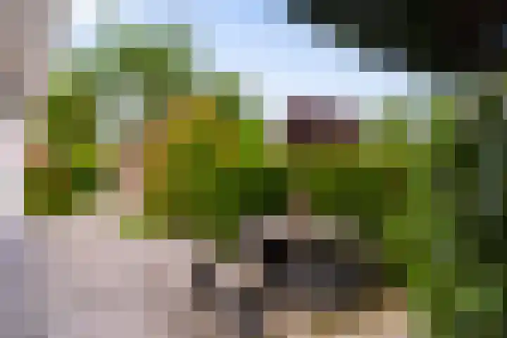 Hietveldweg 34 Beekbergen thumbnail 34