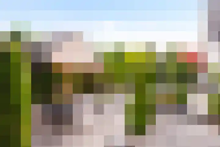 Hietveldweg 34 Beekbergen thumbnail 38