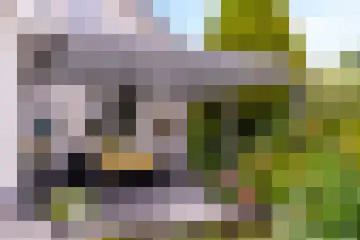 Hietveldweg 34 Beekbergen thumbnail 39