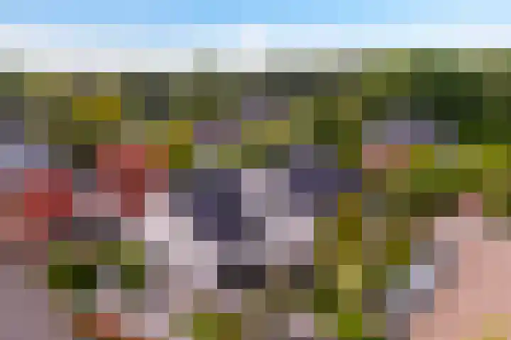 Hietveldweg 34 Beekbergen thumbnail 41