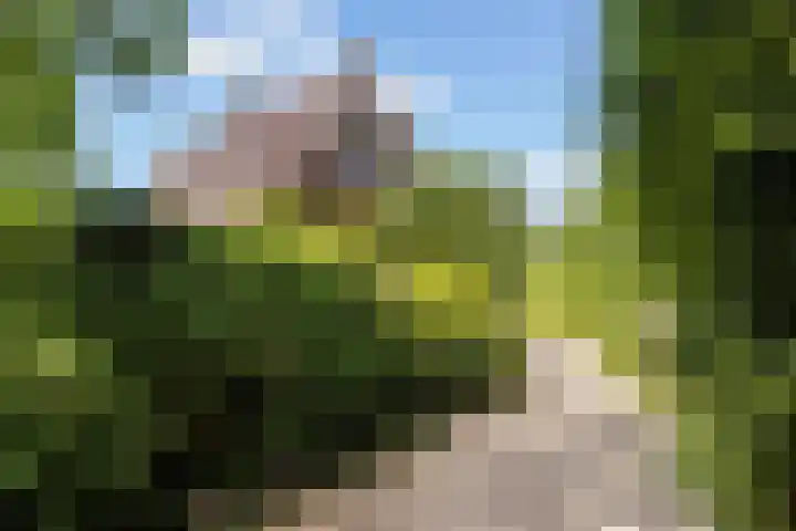 Hietveldweg 50 Beekbergen thumbnail 24