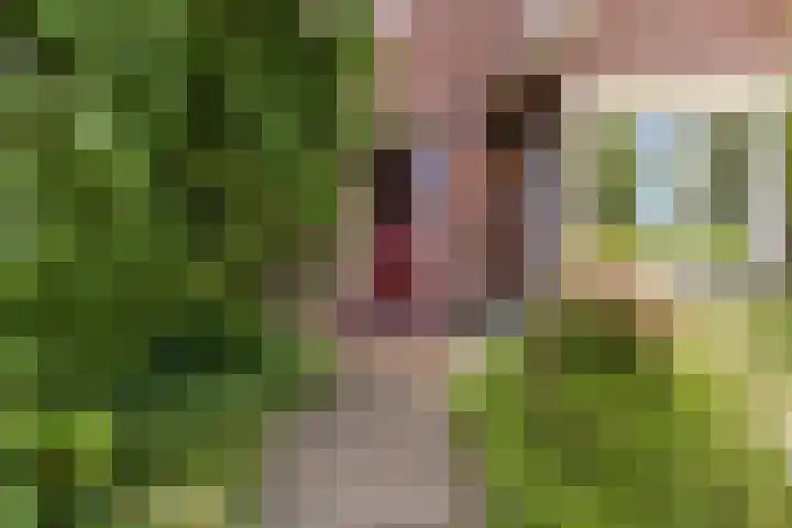 Hietveldweg 50 Beekbergen thumbnail 25