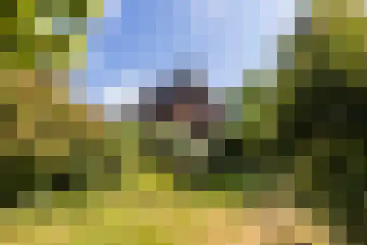 Hietveldweg 50 Beekbergen thumbnail 26