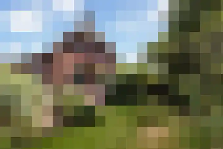 Hietveldweg 50 Beekbergen thumbnail 27