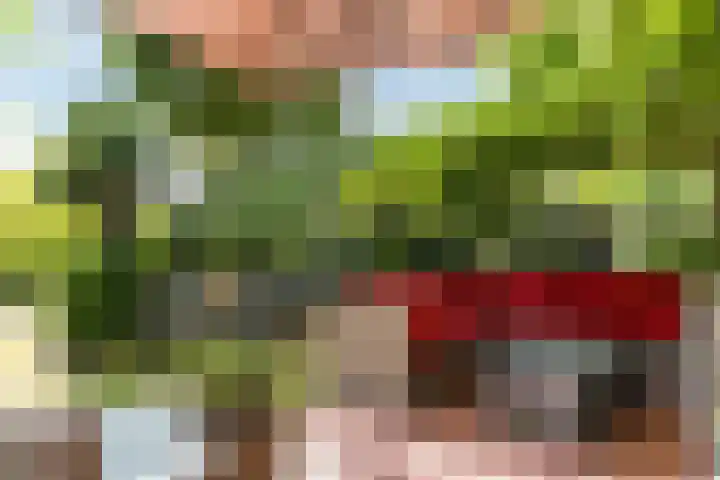 Hietveldweg 50 Beekbergen thumbnail 30