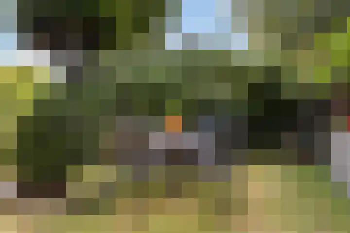 Hietveldweg 50 Beekbergen thumbnail 31