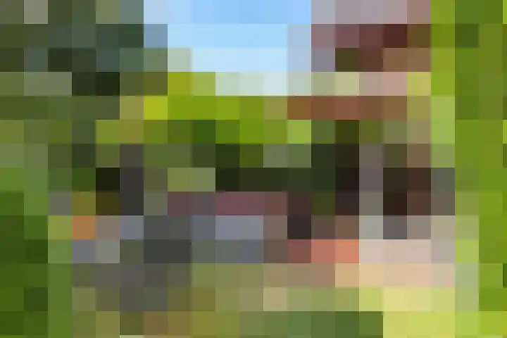 Hietveldweg 50 Beekbergen thumbnail 32