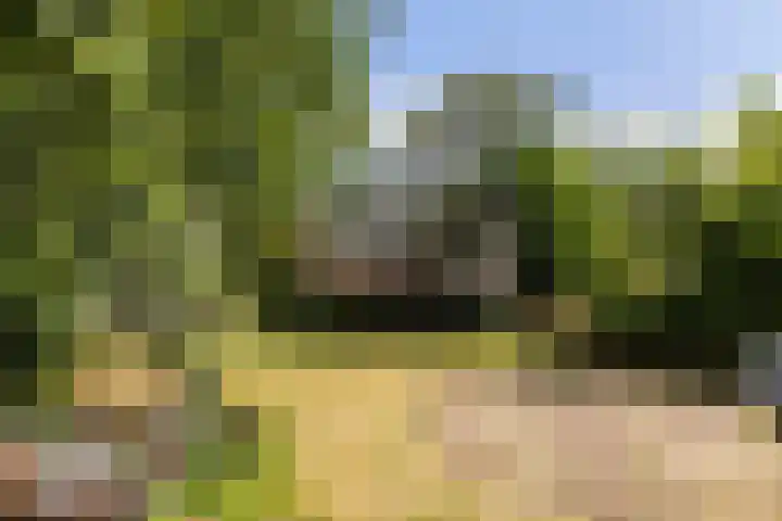 Hietveldweg 50 Beekbergen thumbnail 33
