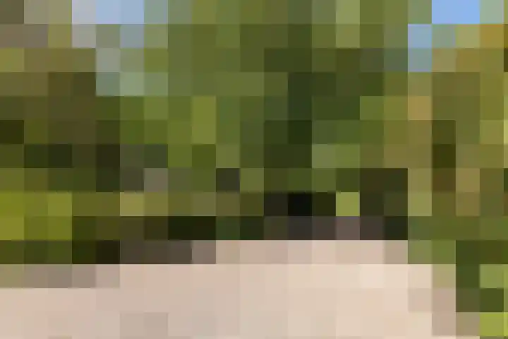 Hietveldweg 50 Beekbergen thumbnail 34