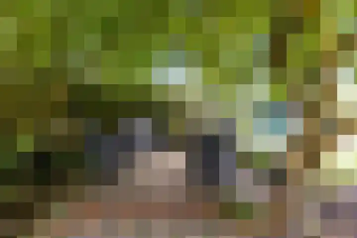 Hietveldweg 50 Beekbergen thumbnail 36