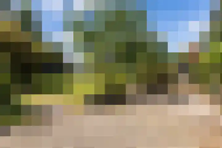 Hietveldweg 50 Beekbergen thumbnail 37