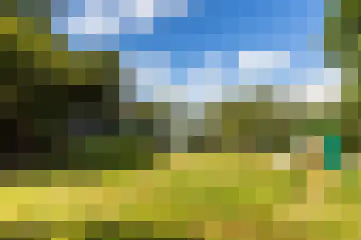 Hietveldweg 50 Beekbergen thumbnail 38