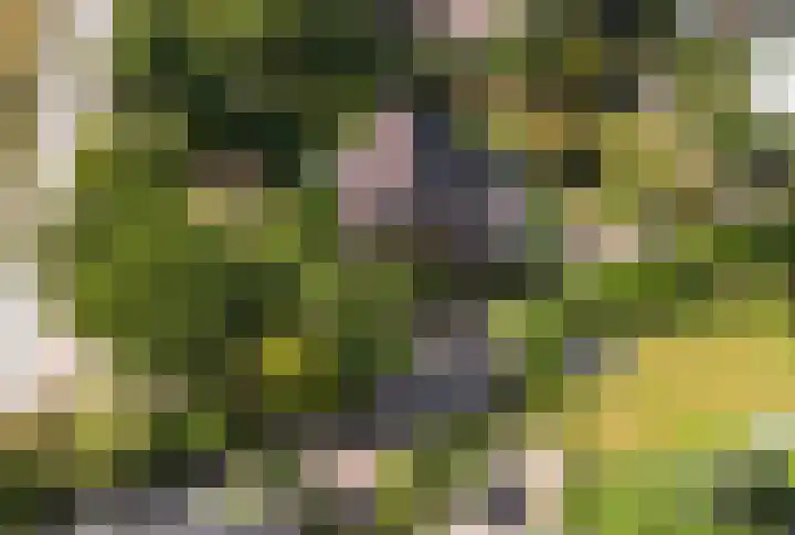 Hietveldweg 50 Beekbergen thumbnail 56