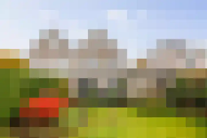 Hietweideweg 66 Twello thumbnail 27
