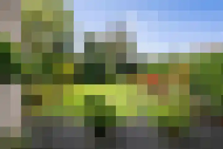 Hietweideweg 66 Twello thumbnail 31