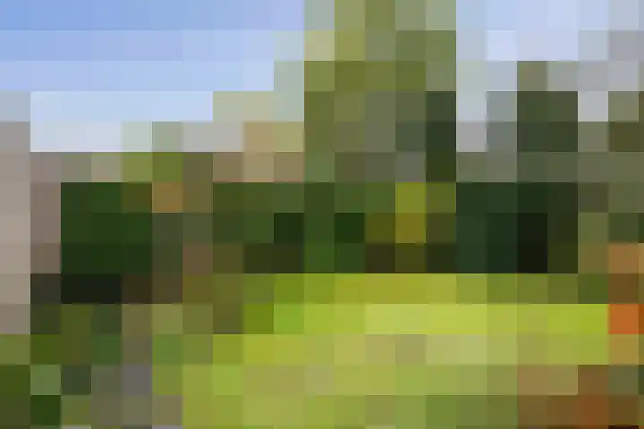 Hietweideweg 66 Twello thumbnail 32