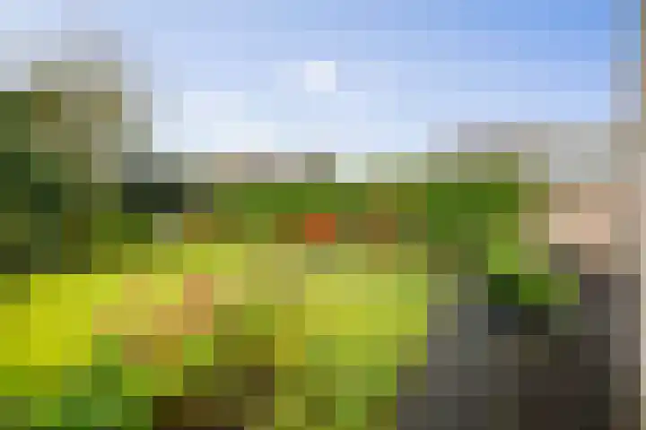 Hietweideweg 66 Twello thumbnail 33