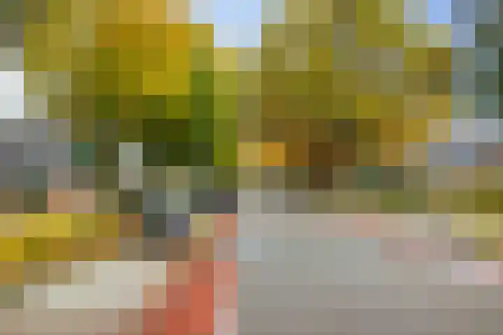 Hietweideweg 66 Twello thumbnail 34
