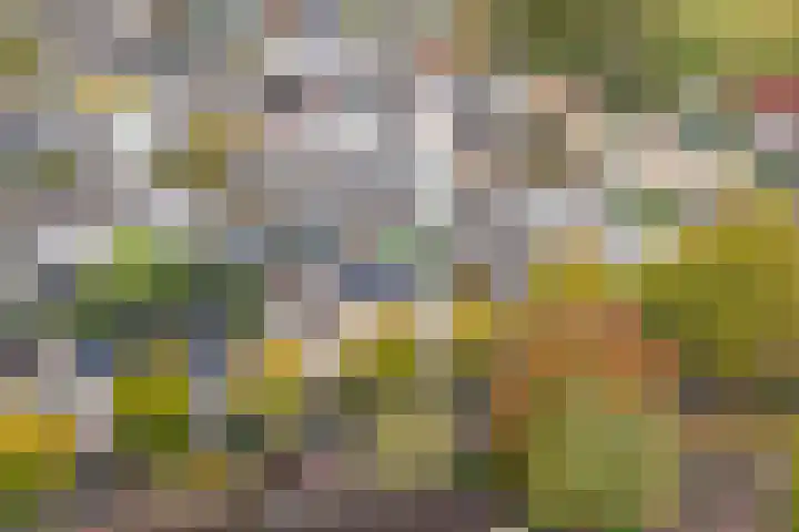 Hietweideweg 66 Twello thumbnail 36