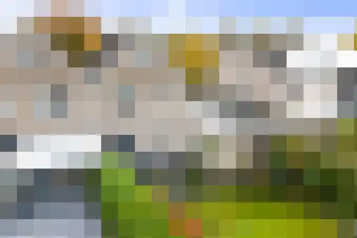 Hietweideweg 66 Twello thumbnail 38