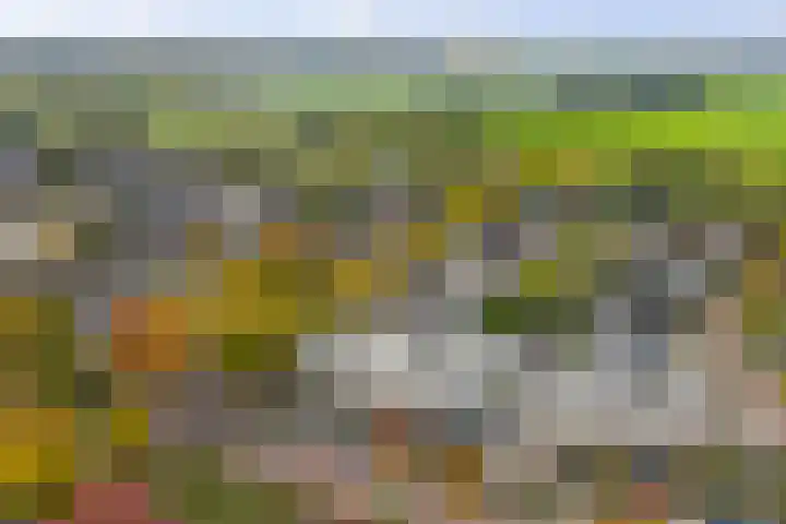 Hietweideweg 66 Twello thumbnail 41