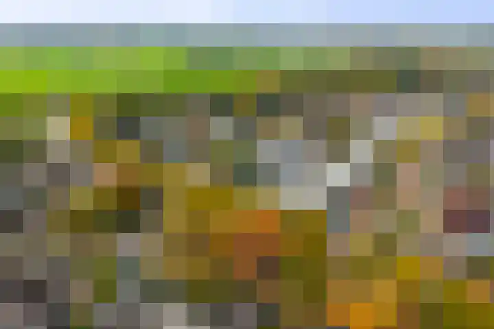 Hietweideweg 66 Twello thumbnail 42